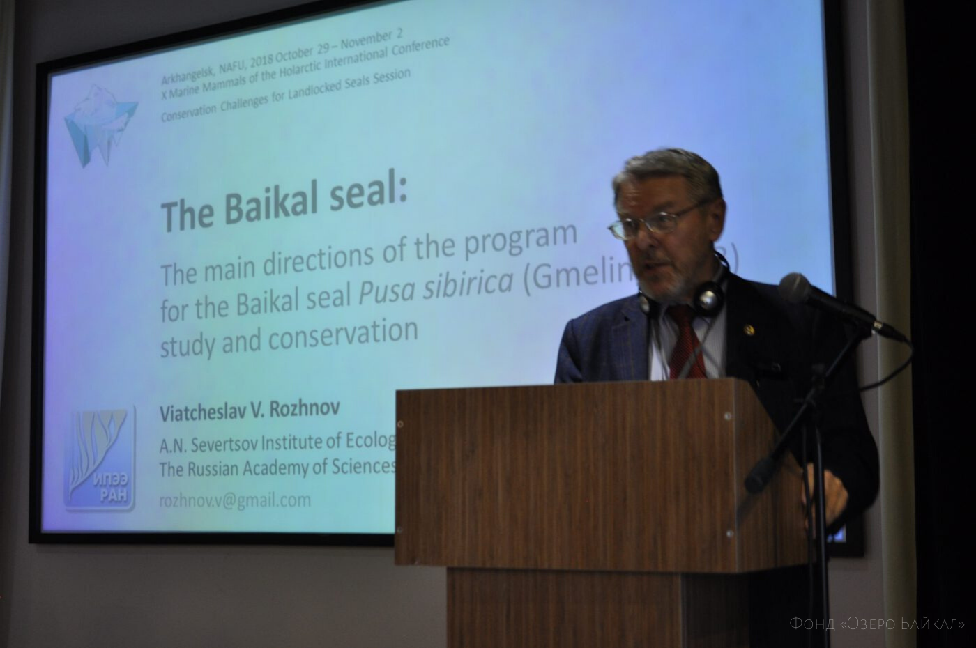 Программа по изучению байкальской нерпы представлена на Международной конференции в Архангельске