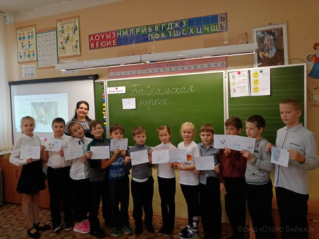 32 thousand children across Russia watched online lessons about the Baikal seal