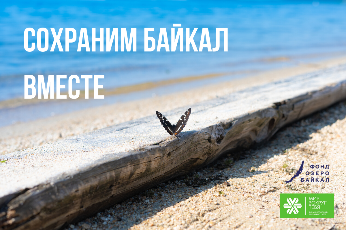 Фонд «Озеро Байкал» и фонд «Мир Вокруг Тебя» подписали соглашение о сотрудничестве в 2020 году