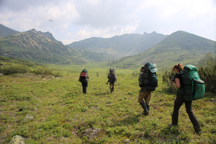 Along the Doppelmayer’s trail: protecting the nature of Barguzinsky nature reserve for over 100 years