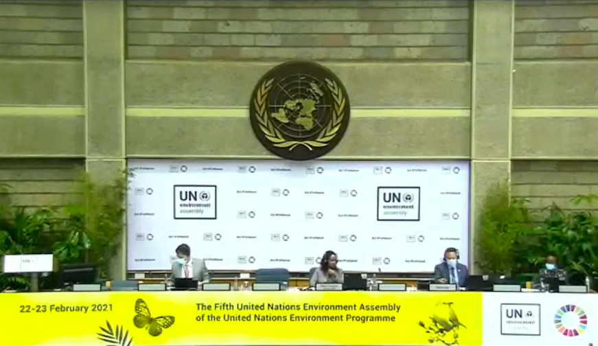 The Foundation has participated in the UN Environment Assembly