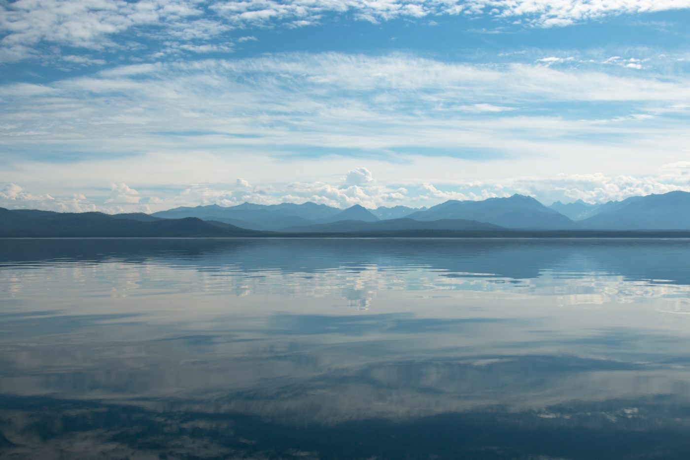 Фонд «Озеро Байкал» попал в ТОП-10 экологических НКО России