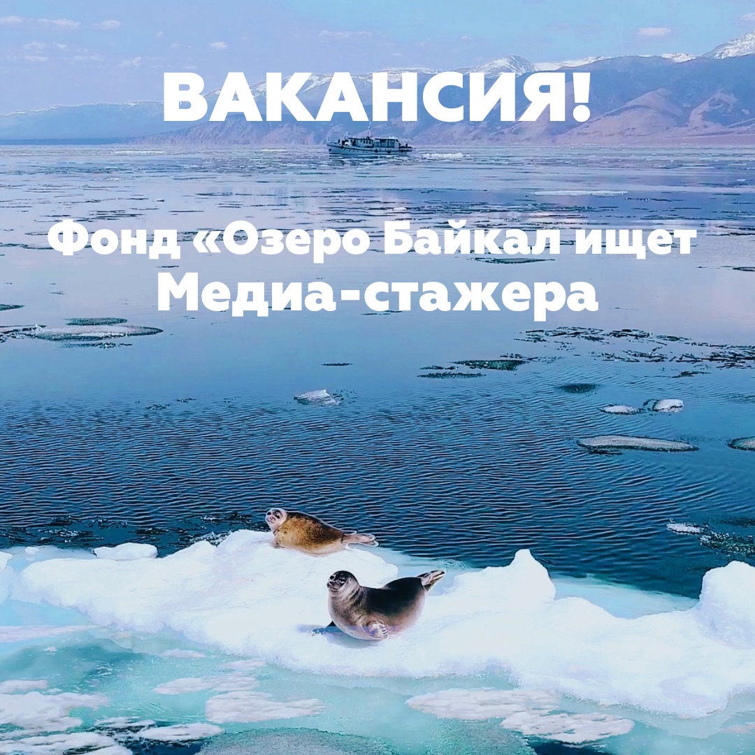 Фонд «Озеро Байкал» ищет Медиа-стажера!